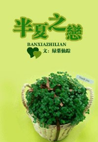 半夏之戀